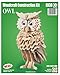 Owl QUAY Woodcraft Construction Kit FSC