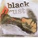 Von Folk bis Power Metal die besten Bands