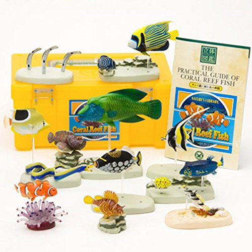 (Companion of fish that live in the coral reef) three-dimensional picture book Real Figure box Coral Reef Fish (japan import)