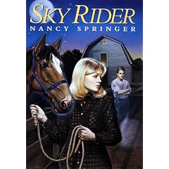Sky Rider