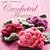 Nicky Epstein's Crocheted Flowers