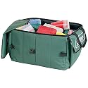 Coleman Picnic Storage/Organizer Bag (Green)