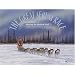 The Great Serum Race: Blazing the Iditarod Trail