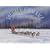 The Great Serum Race: Blazing the Iditarod Trail