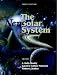 The New Solar System