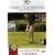 David Leadbetter From Beginner to Winner