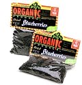 Melissa's Organic Dried Blueberries, 3 packages (3 oz)