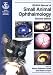 BSAVA Manual of Small Animal Ophthalmology