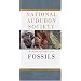 National Audubon Society Field Guide to North American Fossils