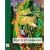 Keith Morrison (The David C. Driskell Series of African American Art, Vol. V)