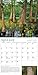 Audubon the World of Trees Calendar 2015
