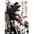 Samurai Champloo, Volume 1 (Episodes 1-4)