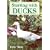 Starting with Ducks