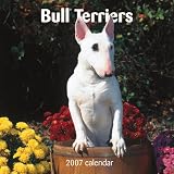 Bull Terriers 2007 Calendar