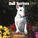 Bull Terriers 2007 Calendar