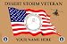 Veteran Air Force Desert Storm Small Vehicle Bumper Sticker