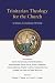 Trinitarian Theology for the Church: Scripture, Community, Worship