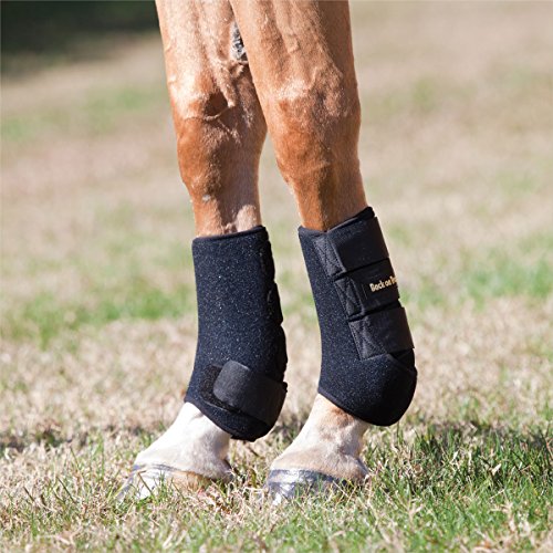 Back on Track Therapeutic Horse Exercise Boots for Front Legs, Black, Large