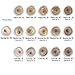Lauren Brooke Cosmetiques Cream Face Foundation Natural and Organic Makeup (Neutral No. 20)