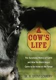  : A Cow's Life: The Surprising History of Cattle, and How the Black Angus Came to Be Home on the Range