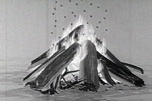 Fire Safety & Education Film: "Fire" (1946) [DVD] - Fire Prevention For Kids With Campfire & Forest Fire Safety Tips