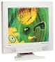 NEC LCD1700M 17" Flat Panel LCD Monitor