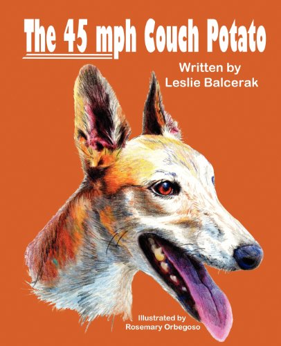 The 45 MPH Couch Potato