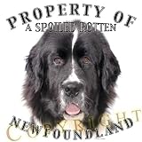 Newfoundland Landseer Mousepad Dog Mouse Pad Property Of