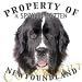 Newfoundland Landseer Mousepad Dog Mouse Pad Property Of