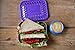 LunchBots Uno Reusable Stainless Steel Lunch Container, Stainless Steel Lid, Purple Dots Cover, Dishwasher Safe