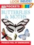Butterflies and Moths (Pocket Guides)