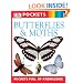 Butterflies and Moths (Pocket Guides)