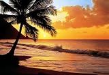 Pacific Sunset 218 Wall Mural