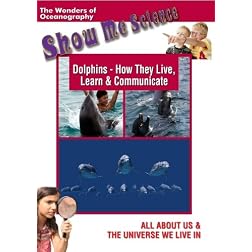 Dolphins - how they Live, Learn & Communicate