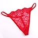DZT Pack of 10 Womens Sexy G-String Underwear Floral Lace Lingerie T- Back Thongs Assorted Colors