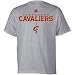 Cleveland Cavaliers Grey Adidas True T-Shirt