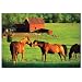 Kissing Horses 200 piece Jigsaw puzzle