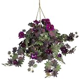 Morning Glory Silk Hanging Basket - B003A71BQM