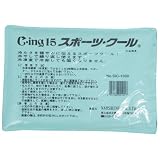 アイーダ(AIDA) C-ing15スポーツクール SIC1000