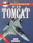 Jane's How to Fly and Fight in the F-14 Tomcat (At the Controls)