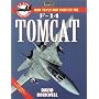 Jane's How to Fly and Fight in the F-14 Tomcat (At the Controls)