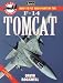 Jane's How to Fly and Fight in the F-14 Tomcat (At the Controls)