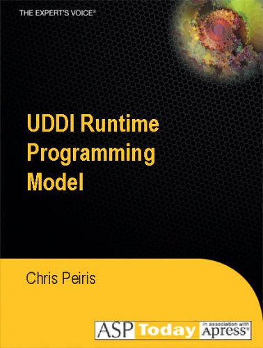 UDDI Runtime Programming Model