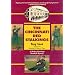 The Cincinnati Red Stalking (Mickey Rawlings Baseball Mysteries)