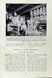 C1920 America Apple Orchard Florida California Fruit