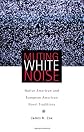Muting White Noise: Native American And European American Novel Traditions (American Indian Literature and Critical Studies Series)