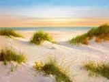 Produkt-Bild: B. Smith - Golden Sunset I Poster / Kunstdruck (80 x 60)