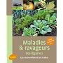 Maladies & ravageurs des légumes