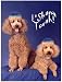 Book Pet Star Jewish New Year Cards - Poodles