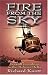 Book Fire from the Sky: Seawolf Gunships in the Mekong Delta